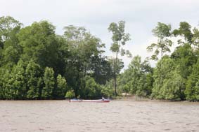 Kumai River Bank Stbd