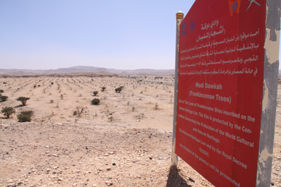 Marsa Dawkah