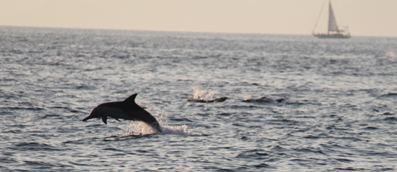 Photograph from the voyage