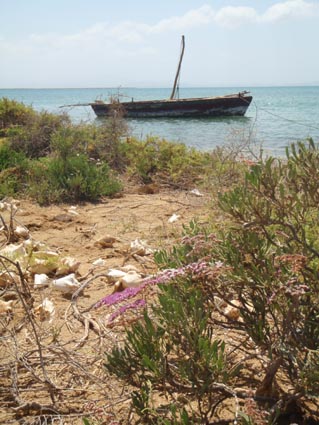 Camel Herder's Boat