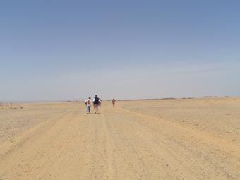 The Looooong walk