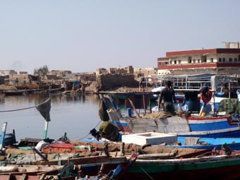 The Fishing Fleet