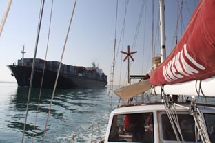 Photograph from the voyage