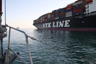 Photograph from the voyage