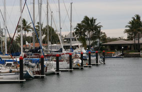 Mooloolba - Hinewai's three up from the left