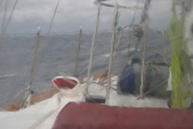 When does Paradise start?